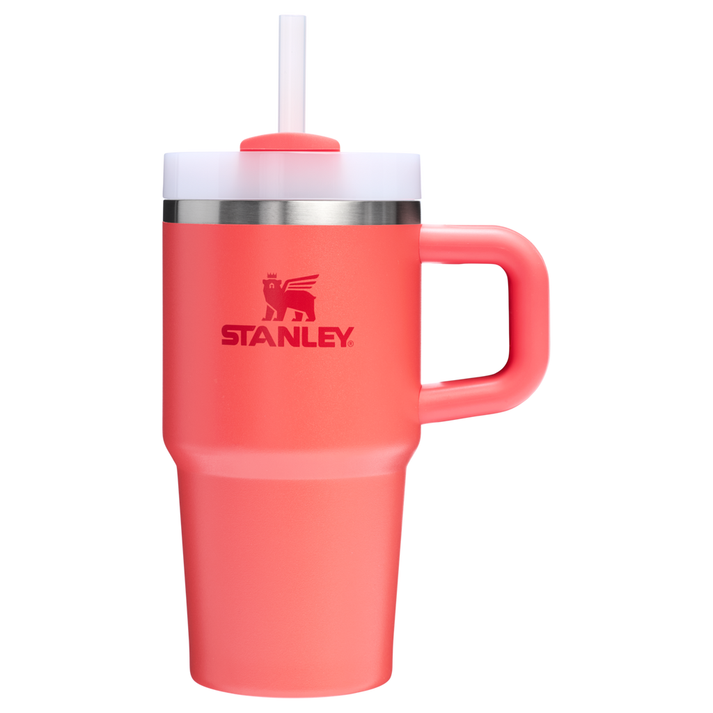 Stanley Quencher H2.0 FlowState™ Tumbler with Handle – 20 oz