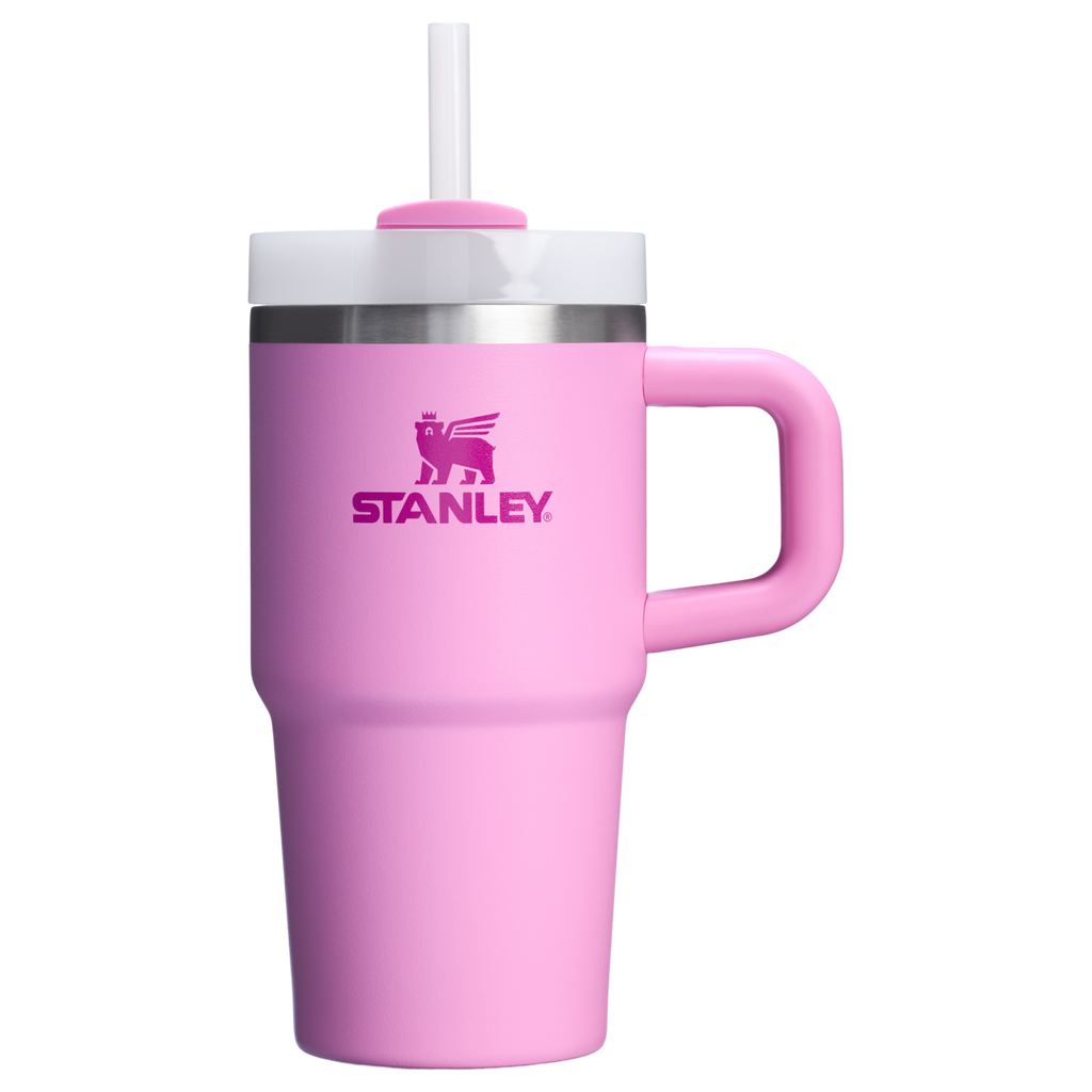 Stanley Quencher H2.0 FlowState™ Tumbler with Handle – 20 oz